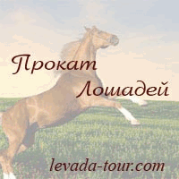 Катание на лошадях. Рыбалка